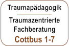 Traumapädagogik / Traumazentrierte Fachberatung: Module 1-7 (Grundlagen)